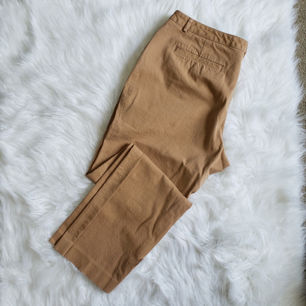 Charter Club Camel Pants